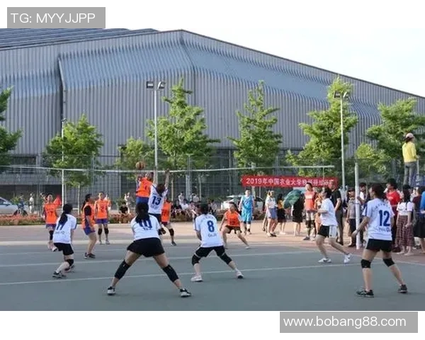 排球纪实：记录武汉排球队的成长故事